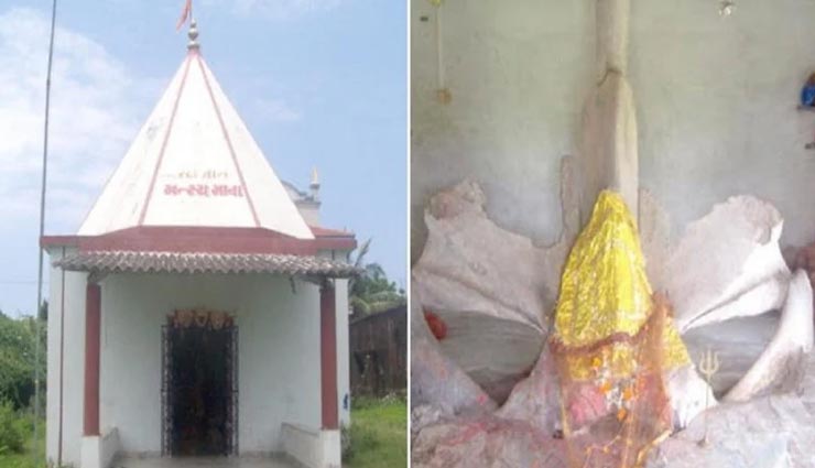 भारत के इस मंदिर में किसी देवता नहीं बल्कि व्हेल मछली की होती है पूजा