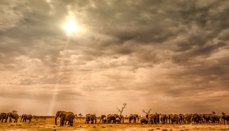 off beat tourist places in munnar,hidden gems in munnar,munnar off-the-beaten-path,anayirankal dam munnar,kallippara sunset point munnar,mathikettan shola national park,kolukkumalai tea estate,dolmens of marayoor,unique places to visit in munnar,unexplored munnar