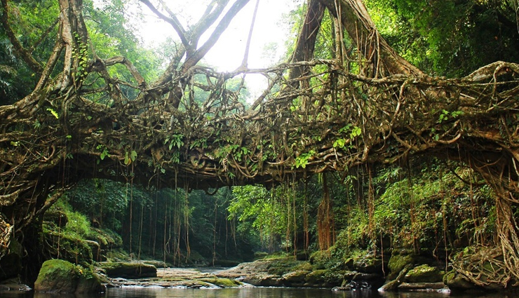 secret places india,hidden gems india,offbeat destinations india,beautiful places india,explore india,unexplored destinations india,lesser-known spots india,secret travel spots india,india travel destinations,hidden treasures india,mawlynnong,meghalaya,mawlynnong meghalaya,asia cleanest village,mawlynnong waterfall,umgrem falls meghalaya,pristine air meghalaya,varkala,kerala,varkala kerala,lush rice plantations varkala,anjengo fort kerala,varkala rainforests,hidden gems kerala,mcleodganj,himachal pradesh,mcleodganj himachal pradesh,himalayan foothills retreat,mcleodganj monasteries,spiritual retreat himachal,tranquil town mcleodganj,tarkarli,maharashtra,tarkarli maharashtra,pristine beaches maharashtra,tarkarli coastal allure,maharashtra seaside resorts,budget-friendly packages maharashtra,gokarna,karnataka,gokarna karnataka,tranquil town gokarna,gokarna yoga sessions,half moon beach gokarna,kudle beach karnataka