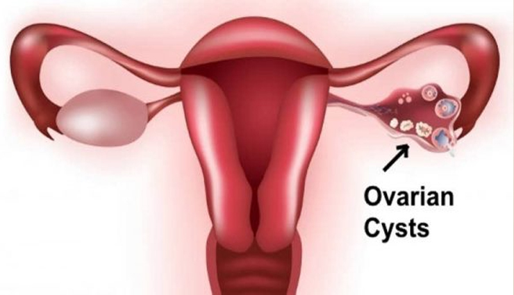 jujube health benefits,benefits of jujube,jujube fruit,jujube for health,jujube uses,jujube nutrition,health benefits of jujube,jujube for immunity,jujube for sleep,jujube for digestion,jujube fruit benefits,jujube medicinal properties,jujube for skin,jujube benefits for weight loss,jujube natural remedies,jujube fruit for detox,jujube in ayurveda,jujube health benefits for immunity,jujube fruit for anxiety