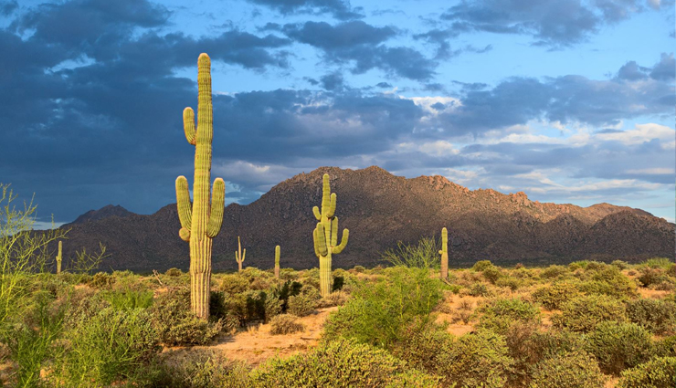 biggest city parks in the united states,largest urban parks in the usa,top american city parks,expansive parks in us cities,urban green spaces in the united states,largest municipal parks in america,iconic city parks in the usa,recreational parks in american cities,urban natural retreats in the us,exploring city parks across america