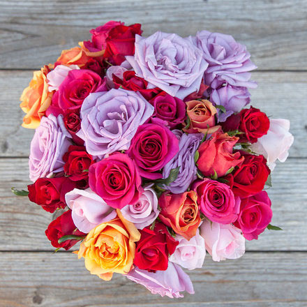 meaning of each color of rose,colors of roses,valentines special,valentines special 2018,astrology tips