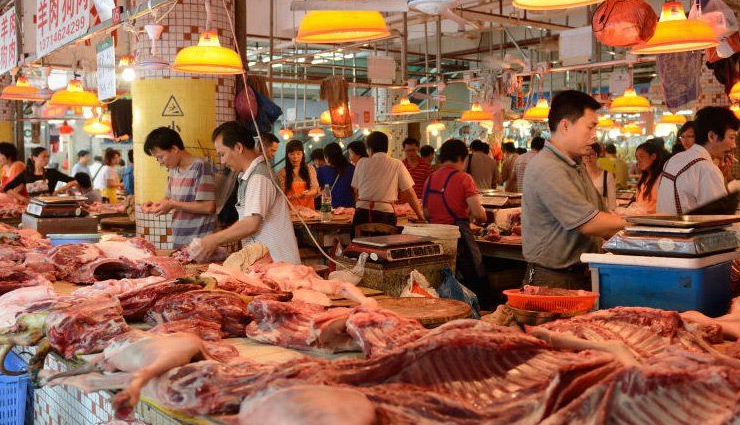 UN ने चेताया - इसी तरह जंगली जानवरों को खाते रहे तो कोरोना जैसी बीमारी बार-बार आएगी