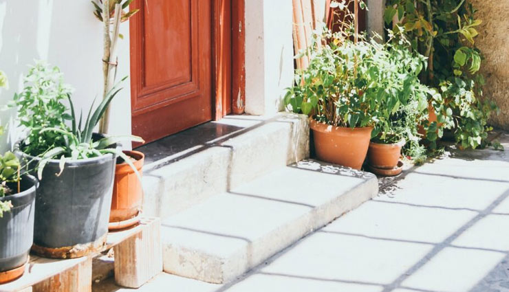 herbs that work as medicine,medicinal plants,herbs to grow at home,Health tips,fitness tips