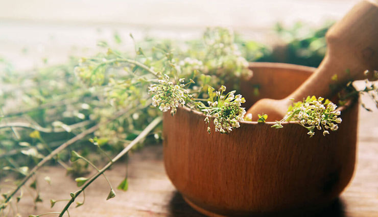 herbs that work as medicine,medicinal plants,herbs to grow at home,Health tips,fitness tips