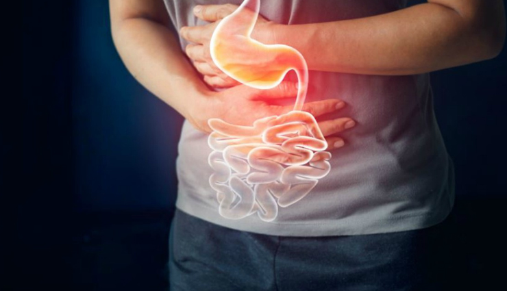 medjool dates health benefits,benefits of medjool dates,nutritional benefits of medjool dates,medjool dates for digestion,health benefits of king dates,medjool dates nutrition facts,medjool dates and bone health,medjool dates: the king of dates,why medjool dates are healthy