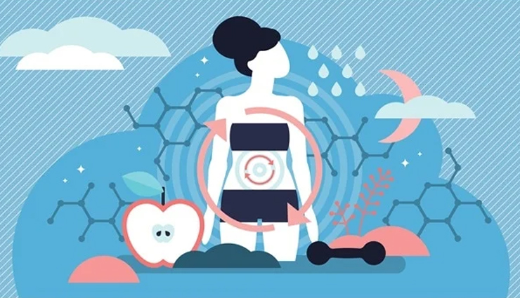 medjool dates health benefits,benefits of medjool dates,nutritional benefits of medjool dates,medjool dates for digestion,health benefits of king dates,medjool dates nutrition facts,medjool dates and bone health,medjool dates: the king of dates,why medjool dates are healthy