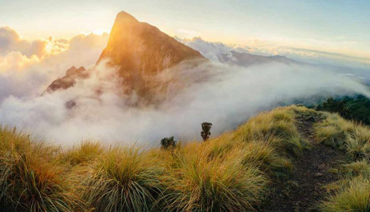 best places to visit in munnar,top munnar attractions,munnar sightseeing spots,munnar tourist destinations,famous places in munnar,munnar must-see locations,munnar travel guide,things to do in munnar,scenic places in munnar,munnar hill station highlights,munnar tea plantations,tata tea museum munnar,devikulam munnar,echo point munnar,meesapulimala trek munnar,elephant lake munnar,attukad falls munnar,kundala lake munnar,munnar natural beauty spots,munnar adventure activities,munnar picturesque locations,munnar tourist experiences,hidden gems in munnar,munnar visit guide