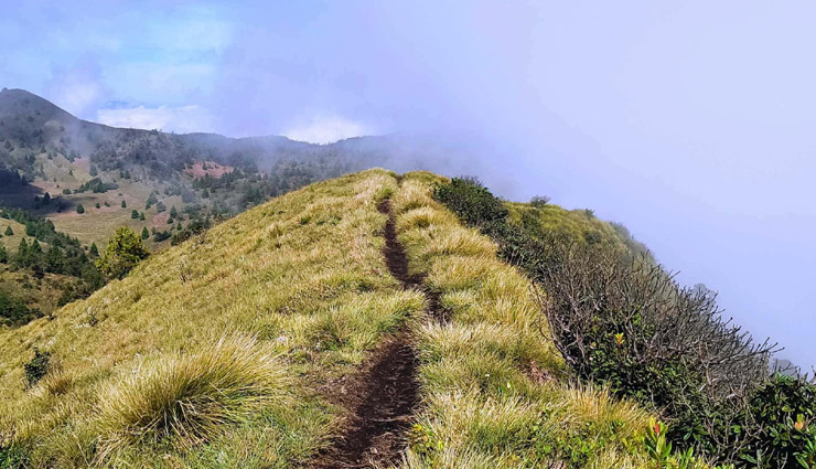 munnar tourist places,beautiful places in munnar,best places to visit in munnar,top attractions in munnar,munnar hill station,things to do in munnar,places to explore in munnar,munnar waterfalls,munnar trekking spots,munnar national parks,kerala hill stations