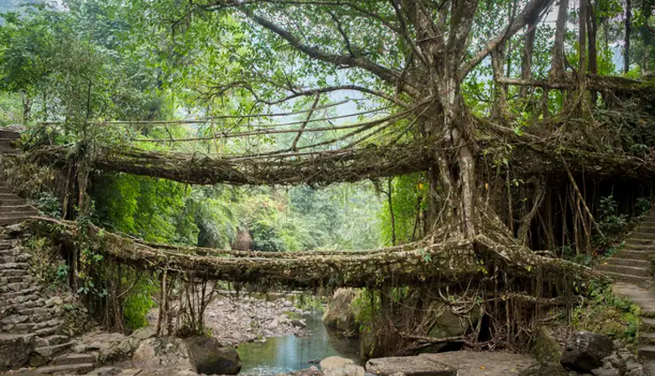 meghalaya,places to visit in meghalaya,tourist attractions in meghalaya,cherrapunji,double decker living root bridge,nohkalikai falls,eco park,nokrek national park,seven sisters falls