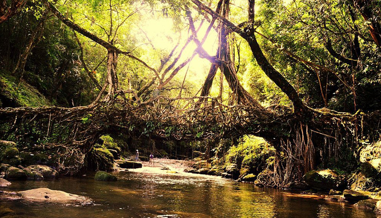 meghalaya,places to visit in meghalaya,cherrapunji,living root bridge,mawlynnong village,mawsmai cave,umiam lake