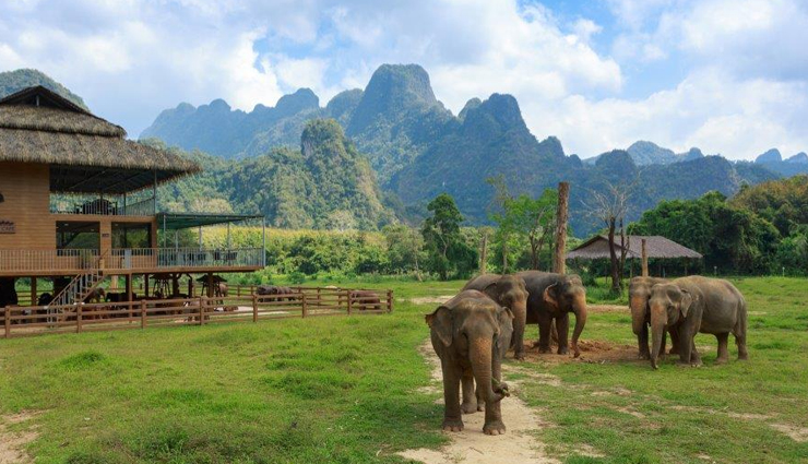 meghalaya,places to visit in meghalaya,cherrapunji,balpakram national park,living root bridge,elephant hills,shillong