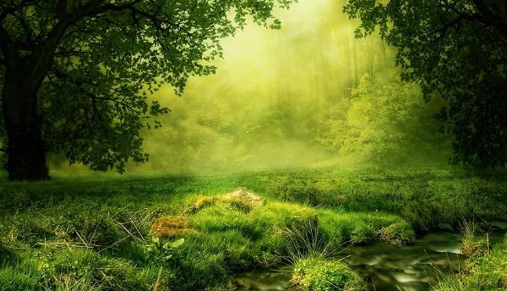 पूर्वोत्तर भारत के सबसे खूबसूरत राज्यों में से एक है मेघालय, जानें यहां की घूमने लायक जगहें meghalaya tourist spots,must-visit places in meghalaya,top attractions meghalaya,exploring meghalaya beauty,meghalaya travel destinations,scenic spots in meghalaya,meghalaya sightseeing guide,tourist hotspots meghalaya,hidden gems of meghalaya,discovering meghalaya wonders