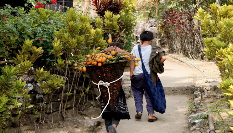 indian village,modern villages,dharnai,punsri,mawlinongh,pothanikkad,shani shignapur