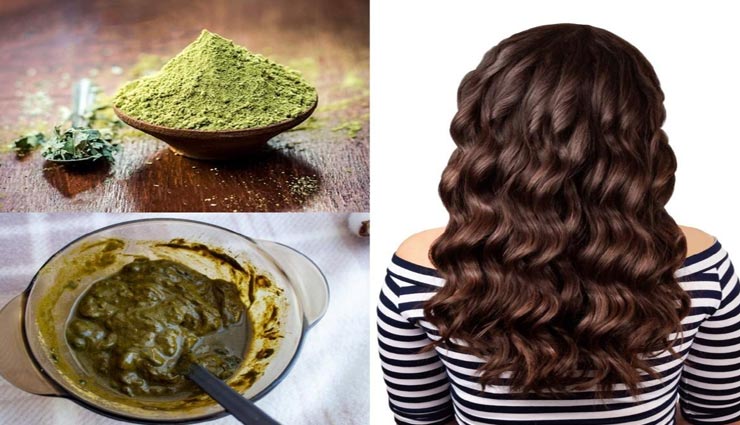 बालों की कई समस्याओं का निवारण करती हैं मेहंदी, जानें इसे लगाने का सही तरीका
