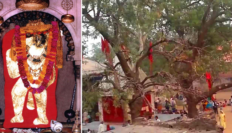 mehandipur balaji,facts about mehandipur balaji,why mehandipur balaji prasad not allowed to bring home,temple in india,india