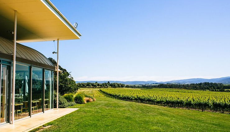 melbourne,places to visit in melbourne,tourist attraction in melbourne,yarra valley,abbotsford convent,bunjilaka aboriginal cultural centre,queen victoria market,walking tour,merri creek trail