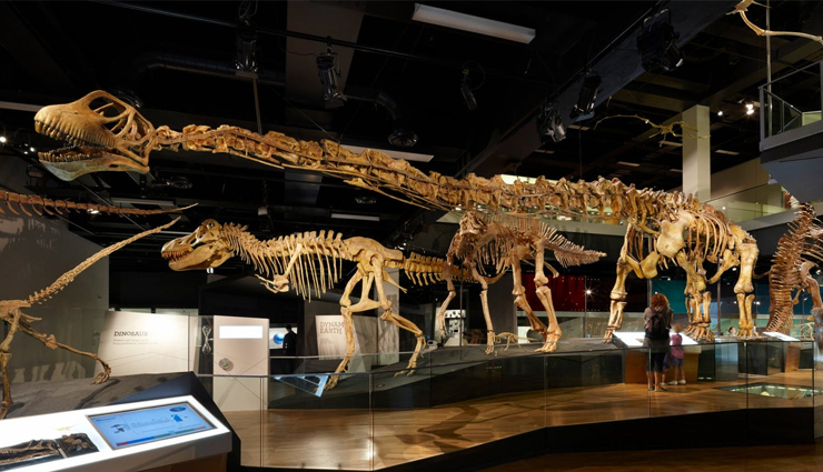 melbourne,tourist destinations in melbourne,must visit tourist destinations melbourne,melbourne cricket ground,melbourne museum,the national gallery of victoria,st kilda,docklands and docklands stadium,crown entertainment complex,the queen victoria market,southbank promenade,federation square,the cbd,travel,holidays,travel guide