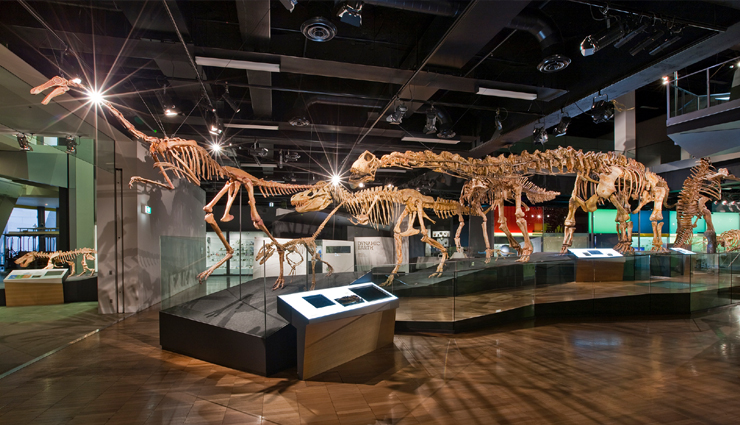 melbourne,tourist destinations in melbourne,amazing tourist destinations in melbourne,melbourne travel