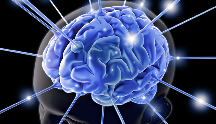 blueberries benefits and side effects,eating blueberries at night,blueberries cholesterol,blueberry benefits for stomach,blueberries benefits and side effects,blueberries benefits for male,blueberries,blueberries benefits,health benefits blueberries,blueberry health benefits,healthy food blueberry,Health,Health tips,healthy living