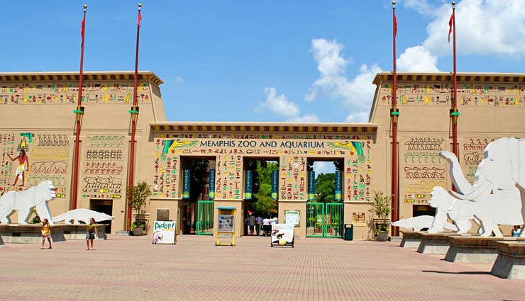 5 must visit zoo if you are in usa,top 5 zoo in usa,best zoo in usa,memphis zoo,saint louis zoo,lincoln park zoo,cincinnati zoo,zoo miami,places to be visited in usa