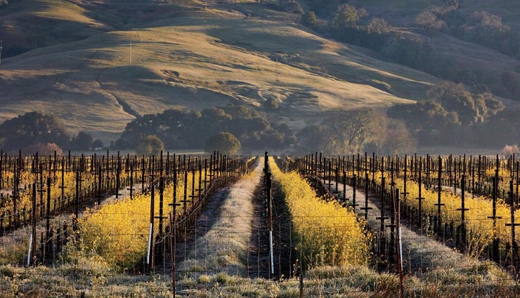 tourist places,foreign tourist places,places for wine lovers,famous foreign places,california places