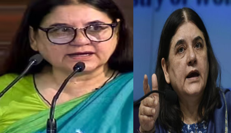 गाय पर बयान पड़ सकता है भारी, ISCON ने मेनका गांधी को भेजा 100 करोड़ का मानहानि का नोटिस