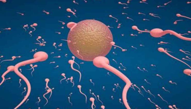 Health tips,health tips in hindi,health research,male fertility and laptop