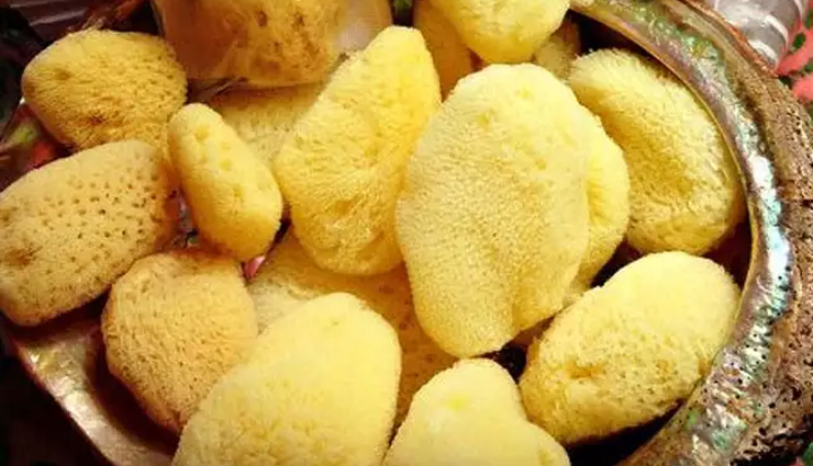 महिलाएं सैनिटरी पैड्स की जगह इन 5 चीजों का भी कर सकती हैं इस्तेमाल, क्या आपको है इनकी जानकारी? alternative options for sanitary pads,non-pad menstrual products,menstrual hygiene alternatives,period products beyond sanitary pads,non-pad period solutions,menstruation alternatives for women,substitute products for sanitary pads,non-pad period protection choices,menstrual cups as alternatives,cloth pads for menstruation,period panties for women,menstrual discs options,reusable menstrual products,eco-friendly period options,organic period solutions,tampon alternatives for periods,silicone menstrual products,sustainable menstrual hygiene,menstrual sponge options,innovative menstrual solutions