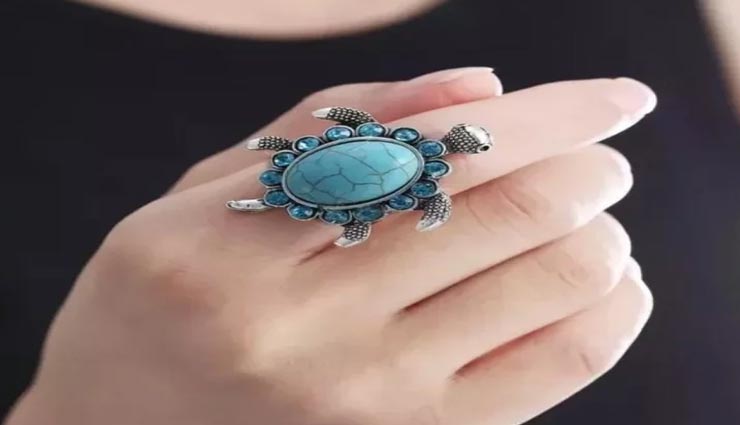 vastu tips,vastu tips in hindi,feng shui tips,turtle position in house