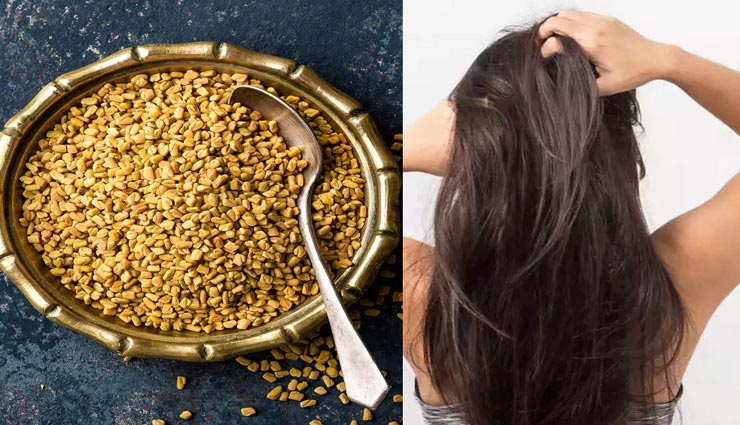 beauty tips,beauty tips in hindi,hair care tips,hair mask,home remedies