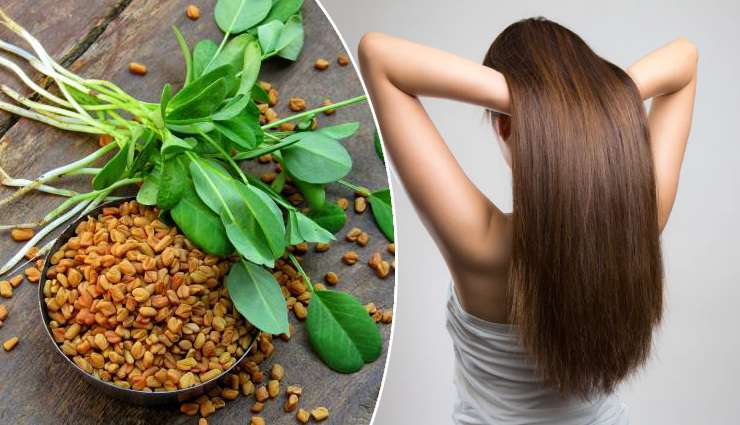 5 DIY Ways To Use Methi to Get Healthy Hair