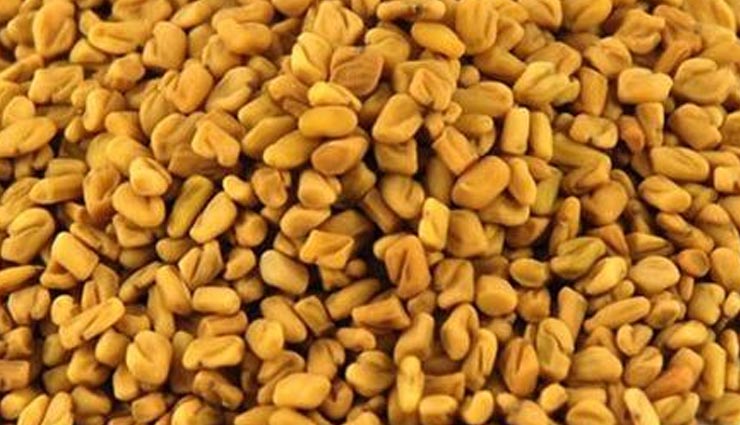 मस्तिष्क की कमजोरी को दूर करता है मेथी का सेवन, जाने और फायदें healthy benefits of fenugreek seeds,health tips in hindi