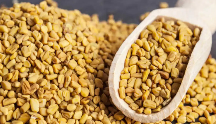 aloe vera hair care,aloe vera for hair growth,benefits of aloe vera for hair,aloe vera hair mask,aloe vera hair treatment,aloe vera shampoo,aloe vera conditioner,aloe vera for dandruff,aloe vera for dry hair,aloe vera hair gel,aloe vera for split ends,aloe vera hair moisturizer,diy aloe vera hair mask,natural hair care with aloe vera,aloe vera hair serum