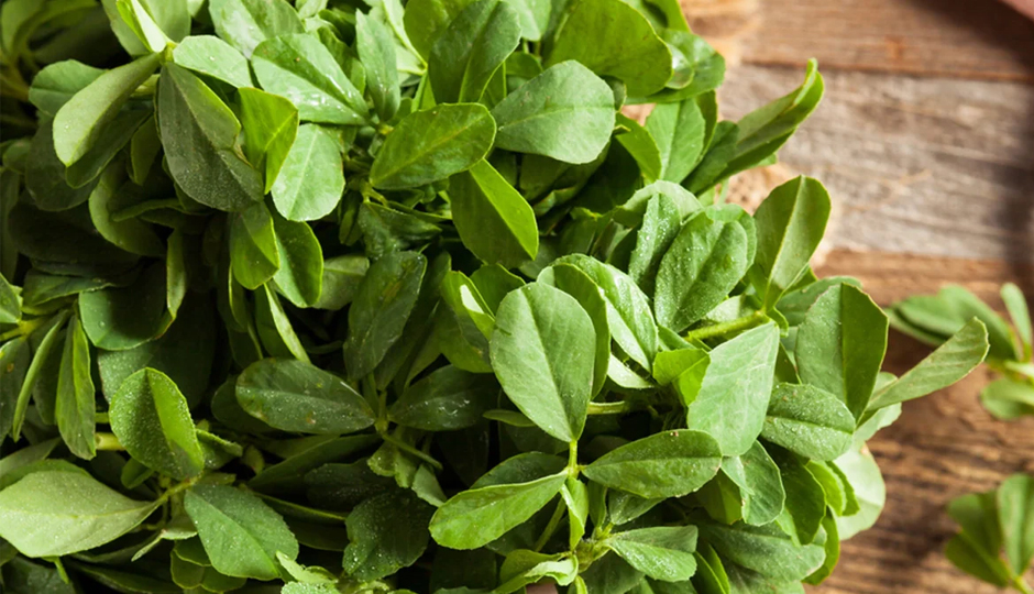 9 DIY Ways To Use Methi for Skin and Hair