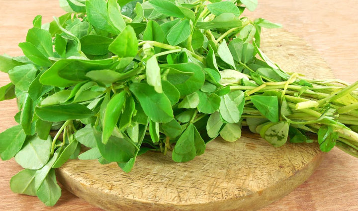 fenugreek is super food,eating fenugreek leaves will cure all diseases,Health,healthy living