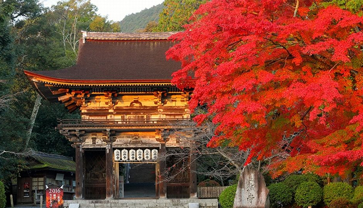japan,beautiful shrines to visit in japan,japan travel,japan tourism,tourist places in japan,japan travel,places to visit in japan,holidays,travel guide