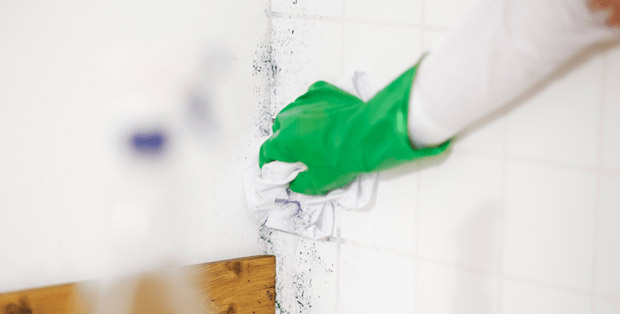 remove mildew from fabrics,fabric care tips,tips to remove mildew,fabric,household tips