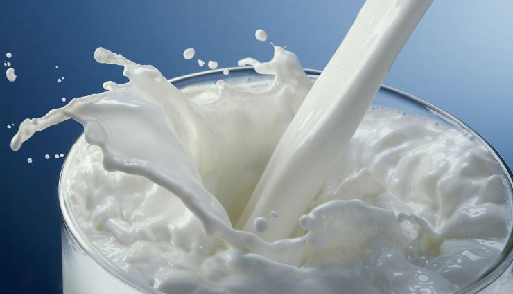 pista kulfi,pista kulfi ingredients,pista kulfi recipe,sweet dish pista kulfi,pista kulfi in summer,delicious pista kulfi,milk