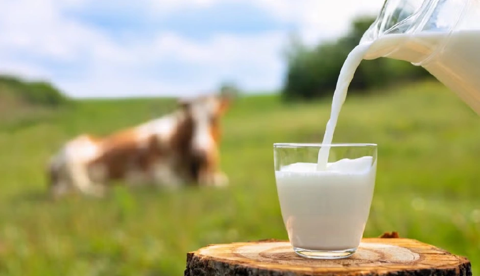 क्या है 'नॉन वेज मिल्क'? जिससे अटक गई भारत-अमेरिका की ट्रेड डील, जानें दूध के पीछे छिपी हैरान कर देने वाली सच्चाई