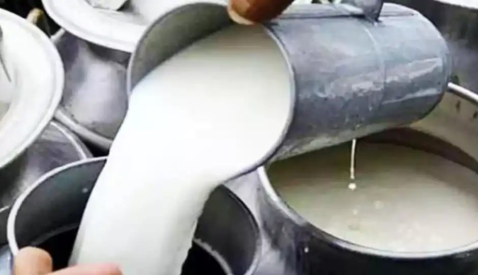 महाराष्ट्र में दूध हुआ महंगा, 11 अगस्त से 2 रुपये बढ़ेंगे दाम; गाय का दूध ₹62 और भैंस का ₹78 प्रति लीटर