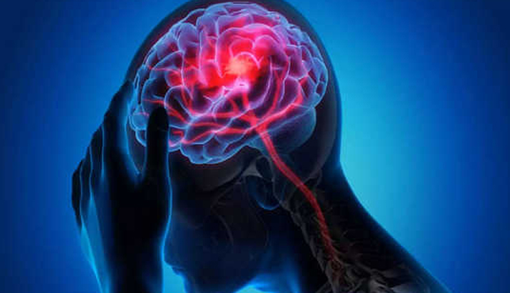 पोषक तत्वों से भरपूर अखरोट हैं एक सुपरफूड, सेहत को मिलते हैं ये गजब के फायदे health benefits of walnuts,nutritional value of walnuts,how walnuts improve health,benefits of eating walnuts daily,role of walnuts in disease prevention,healthy fats in walnuts,antioxidants in walnuts,benefits of walnuts for heart health,walnuts for brain health and cognition,incorporating walnuts into a healthy diet