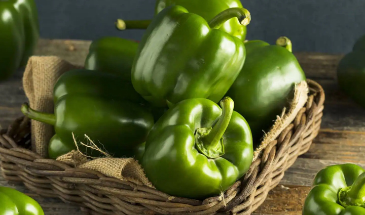 apart from cabbage,insects that harm the brain are also found in these vegetables be careful,Health,healthy living