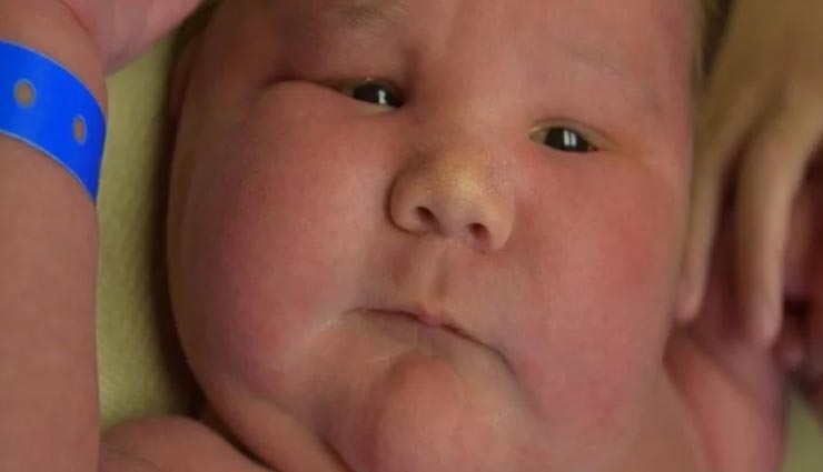 weird news,weird incident,overweight baby,australia,mini sumo wrestle