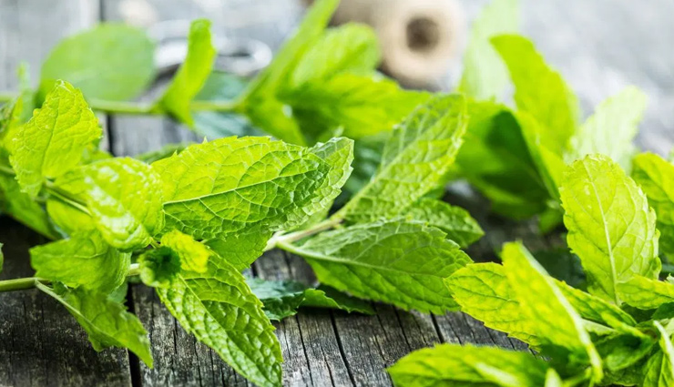 face packs,aloe vera,cocoa,coffee,yogurt and honey,cucumber,sandalwood,tomato and honey,mint,homemade face packs,skin care tips,beauty tips,summer skin tips