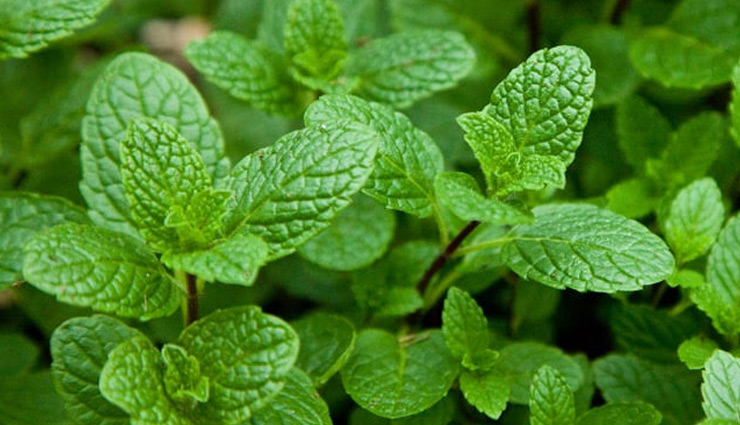 Health tips,healthy living,5 home remedies to treat abdominal pain,hoew to treat stomach pain at home,stomach pain,menstrual pain