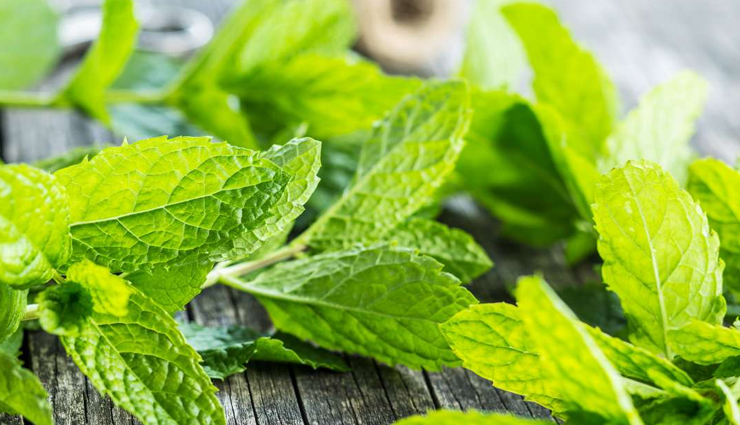 ayurvedic plants,beauty benefits of auurvedic plants,beauty tips,skin care tips