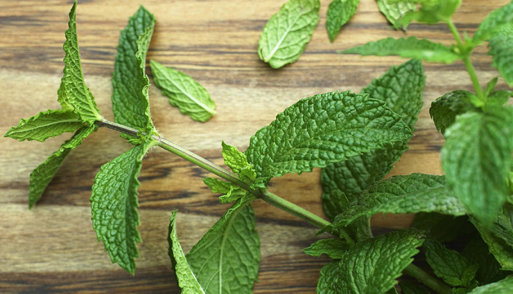 indigestion and stomach troubles,stomach problems,home remedies to treat stomach problems,healthy living,Health tips