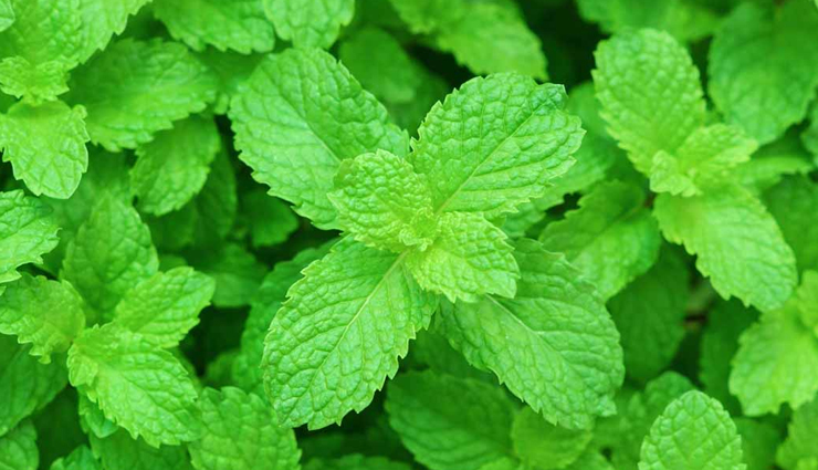 acidity,home remedies to treat acidity,simple tips to get rid of acidity,acidity problem,Health,Health tips