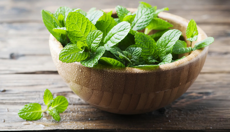 5 DIY Mint Face Packs For Glowing Skin